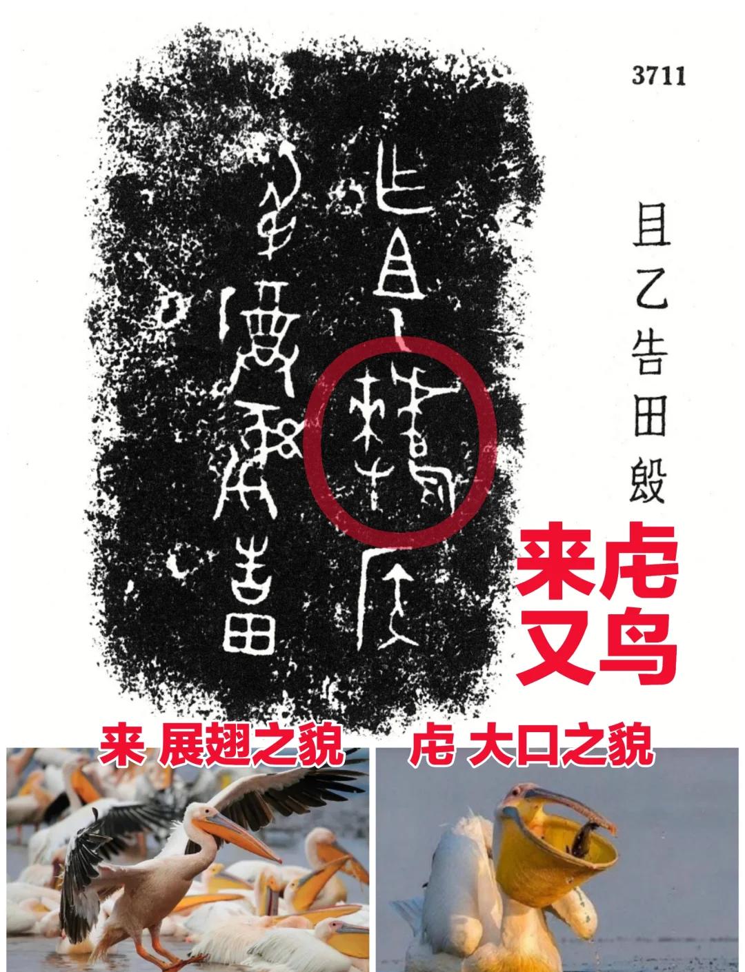 关于骈p痉刋~璌闪@?厺?4坎?溏镤殦l?的信息-爱游戏