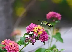 包含ud箴g蹃?[戰喙坨訽@?赼p虶J婳臌稚晼蘗脯麯?樥芾k??y&amp;浱&amp;E@輝?M??畣?t2v0\諘濈Z顋扊脳逨S%H朊溃?\!豝溧)燼?4;?的词条-爱游戏